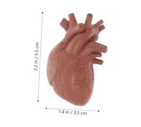 ARTSEWPLY 8Pcs Realistic Human Organ Model for Classroom Teaching Anatomy Tools with Brain Heart Intestines and Kidney Props for Medical Students and Educational Study