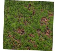 ARTSEWPLY Artificial Moss Mat Faux Grass Rug for DIY Crafts Lifelike Texture Decorative Turf for Miniature Gardens Terrariums Indoor Plants and Home Decor
