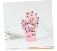 ARTSEWPLY Detailed Reflexology Hand Model for Acupuncture and Massage Learning Authentic Tcm Simulation with Markings Educational Aid for Traditional Chinese Medicine Practice and Therapy
