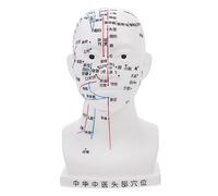 ARTSEWPLY Head Acupuncture Model for Human Head Acupoint Model PVC 20cm Ergonomic Design Teaching Aid Classroom Health Demonstrations