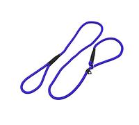ARTSEWPLY Nylon Pet Dog Leash and Collar 1.5m Blue Comfortable Training Lead Rope for Small to Medium Dogs