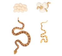 ARTSEWPLY Realistic Growth Cycle Snake Model Educational Cognitive for Biological Learning and Home Decoration Vivid Simulation Animal Figurines for Boys and Exploration