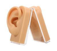 ARTSEWPLY Silicone Ear Model for Piercing Practice with Display Stand Realistic Human Ear Mold for Earring Training and Jewelry Presentation Medical Teaching Tool Lightweight and Design
