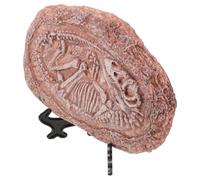 ARTSEWPLY Simulation Trilobite Fossil Ornament Resin Dinosaur Specimen for Paleontology Teaching and Science Decoration Sturdy Multipurpose Collection Display for Students and Collectors