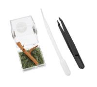 ARTSEWPLY Small Jumping Spider Breeding Container with Secure Lid, Plastic Reptile Escape- Display Case for Florida Jumping Spider, Compact Habitat Box for Pet Breeding and Observation