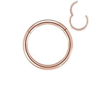 Artskin Grade 23 Titanium Hinged Nose Rings Hoops Body Piercing Rings Helix Cartilage Rook Earrings 16G Diameter 8mm Rose Gold Nose Rings