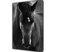 ARTSPRINTS BEAUTIFUL BLACK HORSE PHOTO PICTURE PRINT ON FRAMED CANVAS WALL ART HOME DECORATION 12x 8inch -18mm depth