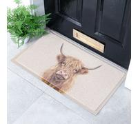 Artsy Doormats Neutral Watercolour Highland Cow Doormat (70 X 40Cm)