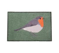 Artsy Mats - Green Robin Indoor Washable Doormat - Superior Absorption Non Slip Mat - Dirt Trapper Heavy Duty Floor Mat - Perfect for Hallway, Doorway, & Kitchen Mat, (60x40cm)