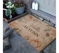 Artsy Mats Hello Autumn Coir Doormat (90 x 60cm) in Brown | Size: 60 x 90 cm Artsy Mats Brown 60 x 90 cm
