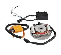 Artudatech Electrical CDI Stator Flywheel Igniter Ignition Coil Fit for Suzuki RM125 RM250 RM465 RM500 1974-1986