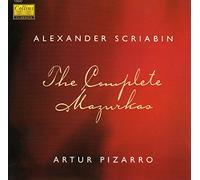 Artur Pizarro - Piano Concertos 2/3