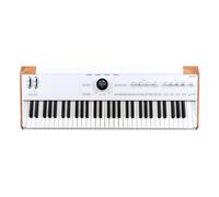Arturia AstroLab Avant-Garde 61-Key Stage Keyboard