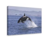 Artwork Depicting Dolphins Leaping from The Sea Canvas Poster Wall Art Decor Print Picture Paintings for Living Room Bedroom Decoration 8" L X 12" W