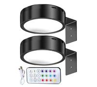 Artwork Picture Light - Mini Dimension Mount Lamp, ABS Plasticc Body, Cordless RGB Wall Light with Adjustable Brightness Control | Decorative Lighting for Shop and Restaurant Hotel Theatre