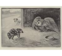 ARTXLXXBN Famous Art Print Poster Vintage Wall Art Between Two Foes by Louis Wain Canvas Art Poster for Home Decor 60x90cm