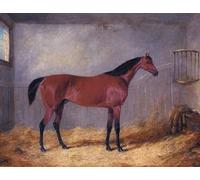 ARTXLXXBN Famous Art Print Poster Vintage Wall Art the Duke of Grafton's Bolivar in a Stable by John Frederick Herring Jnr. Canvas Art Poster for Home Decor 60x90cm