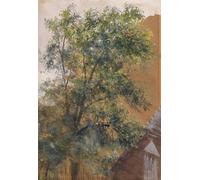 ARTXLXXBN Famous Art Print Poster Vintage Wall Art View from the studio window in the Marienstraße by Adolph Menzel Canvas Art Poster for Home Decor 60x90cm
