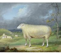 ARTXLXXBN Famous Painting Art Wall Decor Abstract Art Picture a Border Leicester Ewe by Famous Artist Animal Pictures for Home Decor 60x90cm