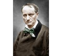 ARTXLXXBN Famous Painting Art Wall Decor Abstract Art Picture Charles Baudelaire by Etienne Carjat Animal Pictures for Home Decor 60x90cm