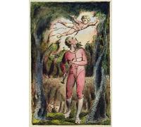 ARTXLXXBN Famous Painting Art Wall Decor Abstract Art Picture From songs of Innocence and of Experience by William Blake Animal Pictures for Home Decor 60x90cm