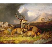 ARTXLXXBN Famous Painting Art Wall Decor Abstract Art Picture Highland Felicity Ben Lebrig in the by Famous Artist Animal Pictures for Home Decor 60x90cm