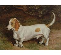 ARTXLXXBN Famous Painting Art Wall Decor Abstract Art Picture My Favourite Dachshund by Frank Paton Animal Pictures for Home Decor 60x90cm