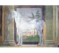 ARTXLXXBN Famous Painting Art Wall Decor Abstract Art Picture of a Grey Animal From the Stables of Ludovico Gonzaga Iii of Mantua by Giulio Romano Animal Pictures for Home Decor 60x90cm