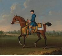 ARTXLXXBN Famous Painting Art Wall Decor Abstract Art Picture One of Four Portraits of Horse a Chestnut Raceanimal with Up by Famous Painter Animal Pictures for Home Decor 60x90cm