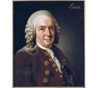 ARTXLXXBN Famous Painting Art Wall Decor Abstract Art Picture Portrait of Carl Von Linne by Alexander Roslin Animal Pictures for Home Decor 60x90cm