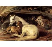ARTXLXXBN Famous Painting Art Wall Decor Abstract Art Picture the Arab Tent by Sir Edwin Henry Landseer Animal Pictures for Home Decor 60x90cm