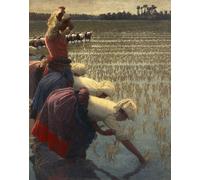 ARTXLXXBN Famous Painting Art Wall Decor Abstract Art Picture the Mondine by Angelo Morbelli Animal Pictures for Home Decor 60x90cm