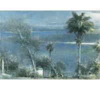 ARTXLXXBN Famous Painting Canvas Artwork Graffiti Print Moonlight At Port Antonio Jamaica by Albert Goodwin Portrait Canvas Image for Home Decor 60x90cm