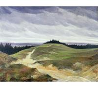 ARTXLXXBN Famous Painting Canvas Artwork Graffiti Print Sandy Path by Christopher Richard Wynne Nevinson Portrait Canvas Image for Home Decor 60x90cm