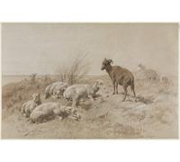 ARTXLXXBN Famous Painting Canvas Artwork Graffiti Print Sheep by Rosa Bonheur Portrait Canvas Image for Home Decor 60x90cm