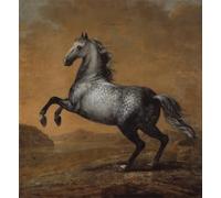 ARTXLXXBN Famous Painting Canvas Artwork Graffiti Print the Little Englishman King Karl Xi 's Horse by David Klöcker Ehrenstrahl Portrait Canvas Image for Home Decor 60x90cm