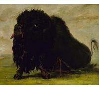 ARTXLXXBN Famous Print Painting Colorful Art Print Dying Animal Shot with an Arrow by George Catlin Canvas Art Decorations for Home Decor 60x90cm