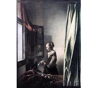 ARTXLXXBN Famous Print Painting Colorful Art Print Girl reading a Letter at an open window by Jan Vermeer van Delft Canvas Art Decorations for Home Decor 60x90cm
