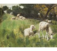 ARTXLXXBN Famous Print Painting Colorful Art Print Painting of Sheep in a Hillside Pasture by Harry Thompson Canvas Art Decorations for Home Decor 60x90cm