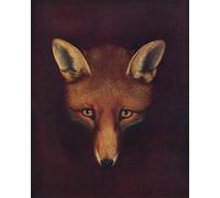 ARTXLXXBN Famous Print Painting Colorful Art Print Renard the Animal by Famous Artist Canvas Art Decorations for Home Decor 60x90cm