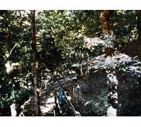 ARTXLXXBN Famous Prints Artwork Pictures Poster Painting Art a French Soldier in a Trench in the Forest Near Verdun by Jules Gervais Courtellemont Artwork Landscape Pictures for Home Decor 60x90cm