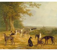 ARTXLXXBN Famous Prints Artwork Pictures Poster Painting Art Nine Greyhounds in a Landscape by Jacques Laurent Agasse Artwork Landscape Pictures for Home Decor 60x90cm