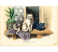 ARTXLXXBN Famous Prints Artwork Pictures Poster Painting Art Sir George or by Carlo Pellegrini Artwork Landscape Pictures for Home Decor 60x90cm