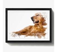 Arty Pie Framed Print Black (24.5x18 Inch) Golden Retriever Dog (2) V3, Wood, Multi-Colour, A2/24.5 x 18-Inch