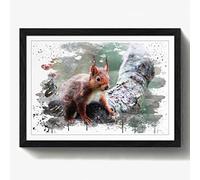 Arty Pie Framed Print Black A2 (24.5x18 Inch) Red Squirrel 2 V3, Wood, Multi-Colour, 60 x 42 x 2 cm