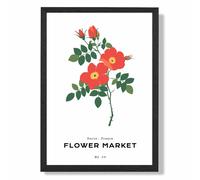 ARTZE Orange Cosmos Plant Flower Market Simplicity Framed Print SIZE: A2 with Black Frame ARTZE Orange A2