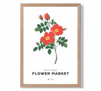 ARTZE Orange Cosmos Plant Flower Market Simplicity Framed Print SIZE: A2 with Oak Frame | Size: A3 ARTZE Orange A3