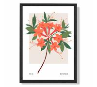 ARTZE Orange Firecracker Plant Flower Market Simplicity Framed Print SIZE: A2 with Black Frame | Size: A3 ARTZE Orange A3