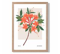 ARTZE Orange Firecracker Plant Flower Market Simplicity Framed Print SIZE: A2 with Oak Frame | Size: A4 ARTZE Orange A4