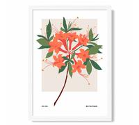 ARTZE Orange Firecracker Plant Flower Market Simplicity Framed Print SIZE: A3 with White Frame ARTZE Orange A3